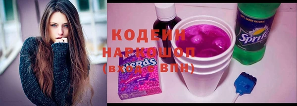 меф Гатчина