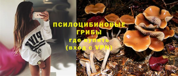 прущие крисы Абдулино