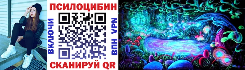 Галлюциногенные грибы мицелий  где купить наркоту  Подпорожье 